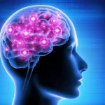 Consciousness-Brain-Activity